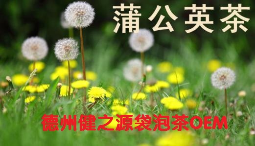 蒲公英茶，今天您喝了嗎？